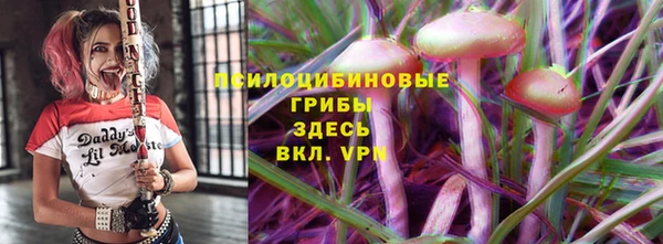 дживик Алексин